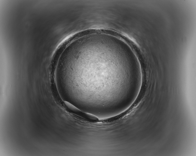X0000087551311200704271201