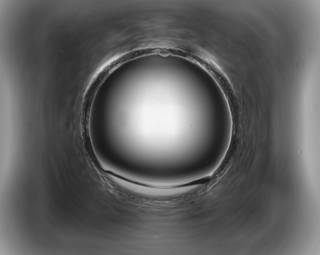 X0000087551312200704271201