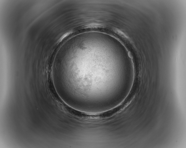X0000087551313200704271201