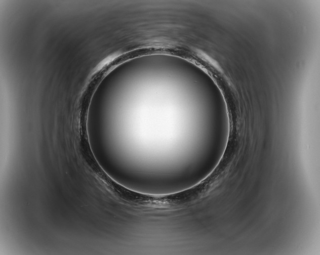 X0000087551315200704271201