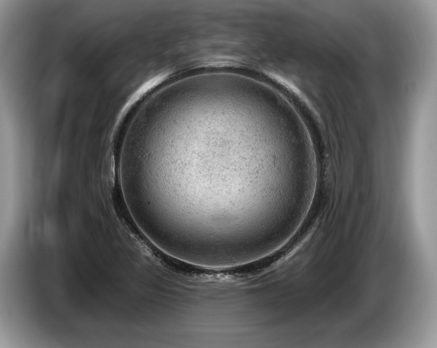 X0000087551317200704271201