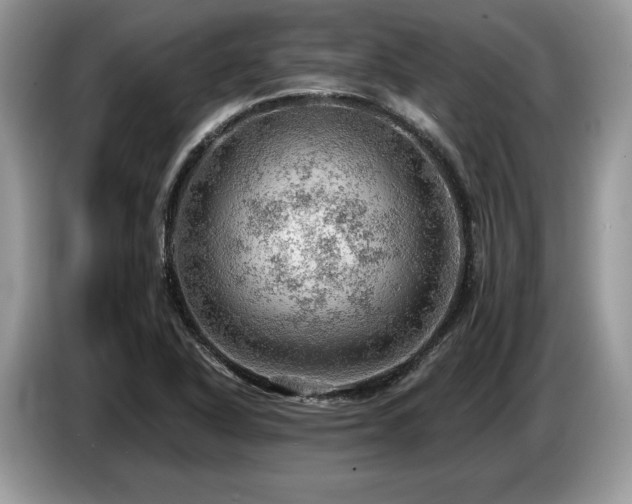 X0000087551318200704271201