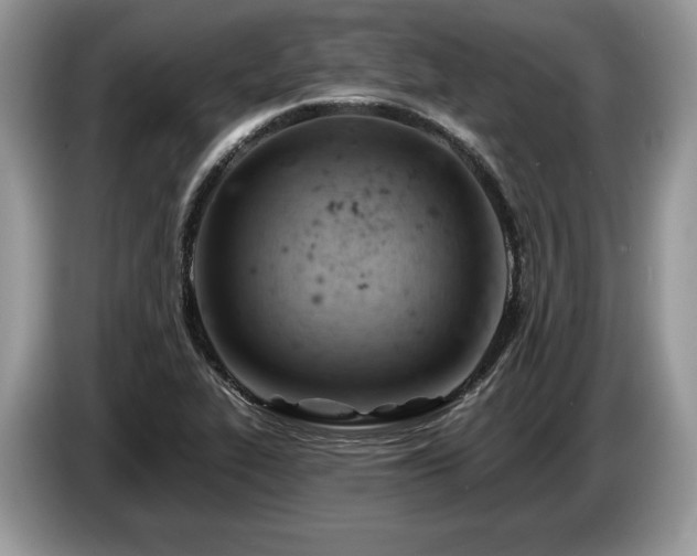 X0000087551319200704271201