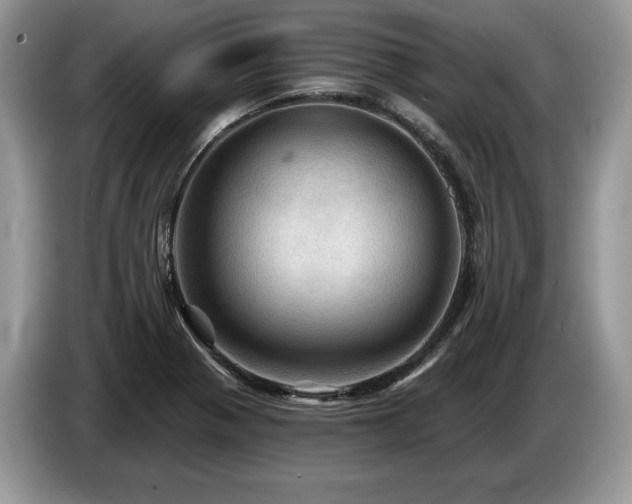 X0000087551321200704271201
