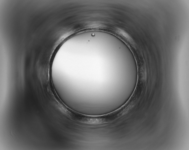 X0000087551322200704271201