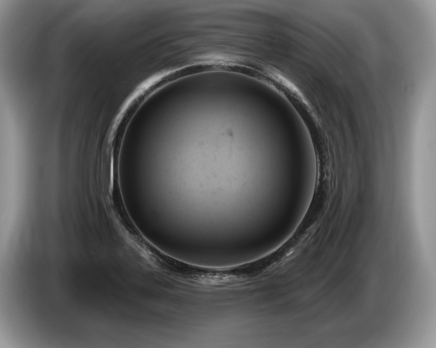 X0000087551323200704271201