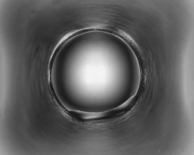 X0000087551324200704271201