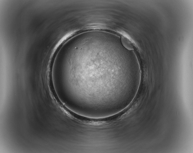 X0000087551325200704271201