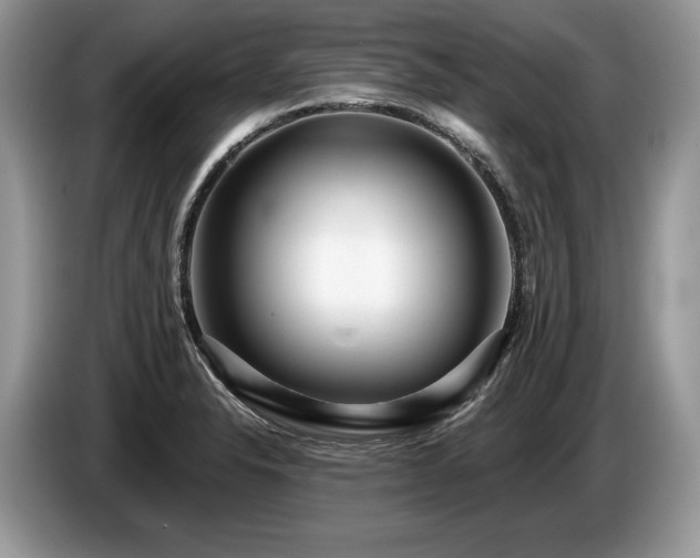 X0000087551326200704271201