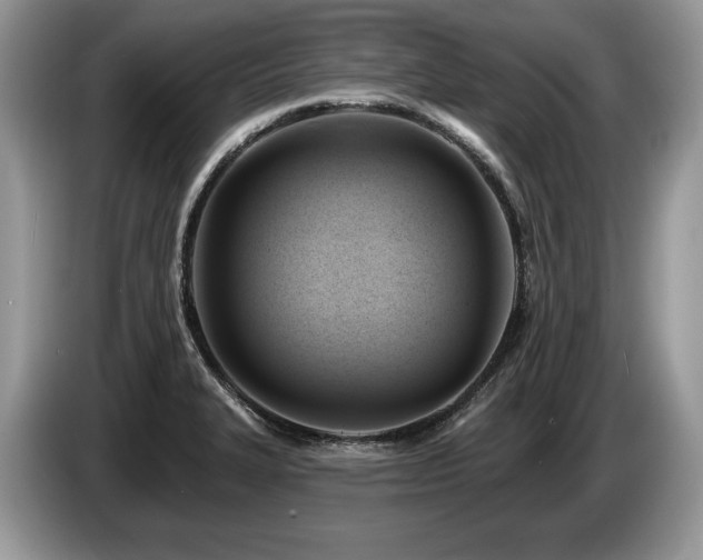 X0000087551327200704271201