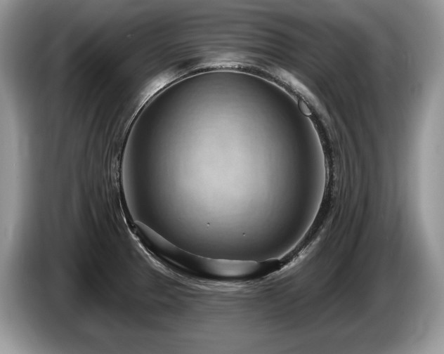 X0000087551329200704271201