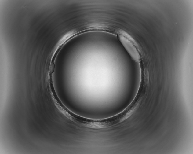 X0000087551330200704271201