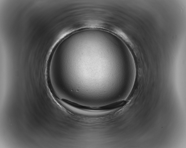 X0000087551331200704271201