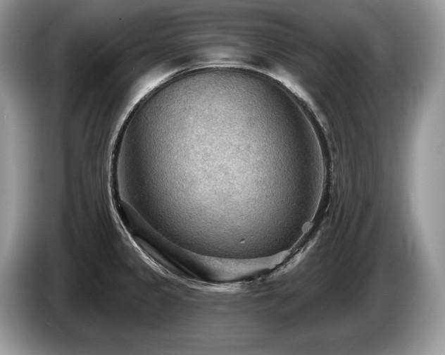 X0000087551333200704271201