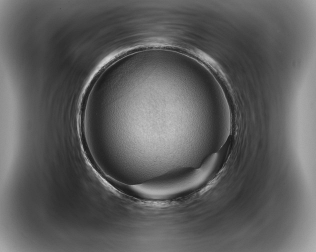 X0000087551334200704271201