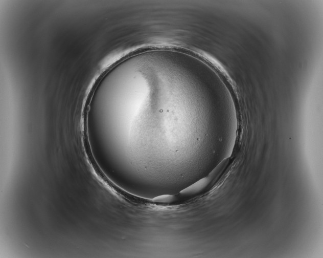 X0000087551335200704271201