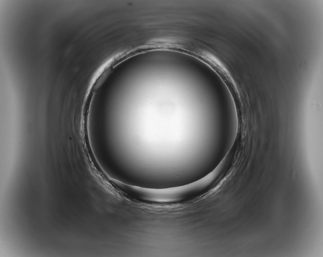 X0000087551336200704271201