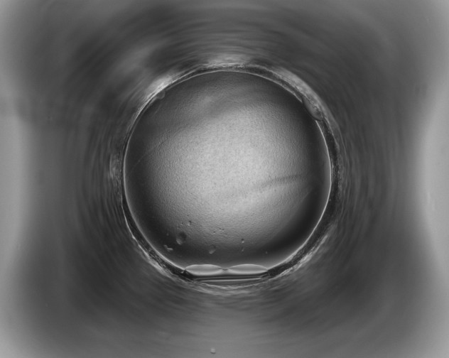 X0000087551337200704271201