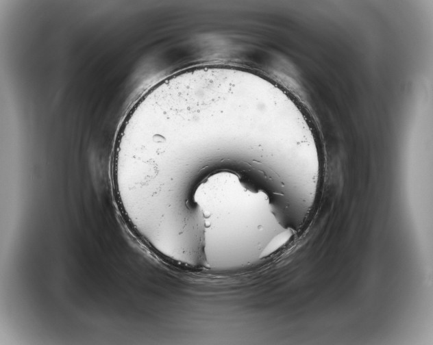 X0000087551338200704271201