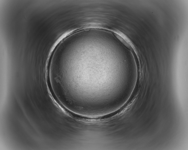 X0000087551341200704271201
