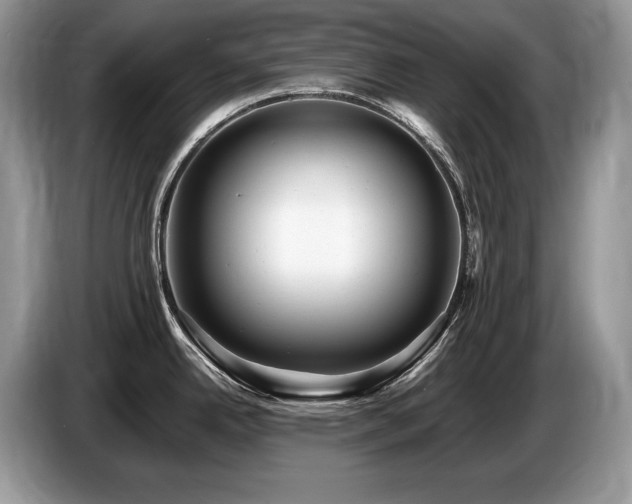 X0000087551342200704271201