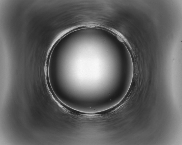 X0000087551343200704271201
