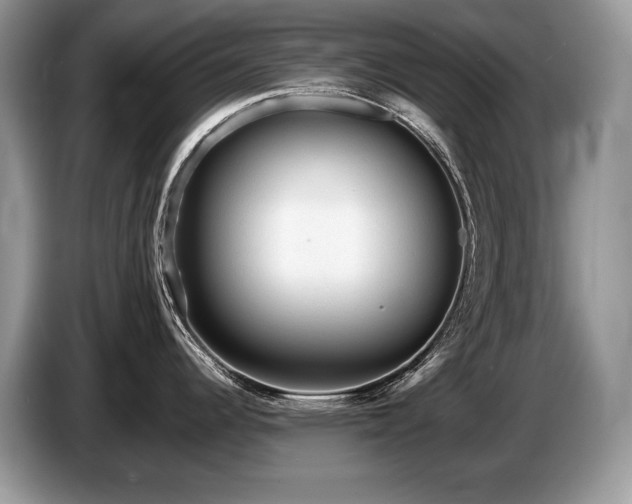 X0000087551344200704271201