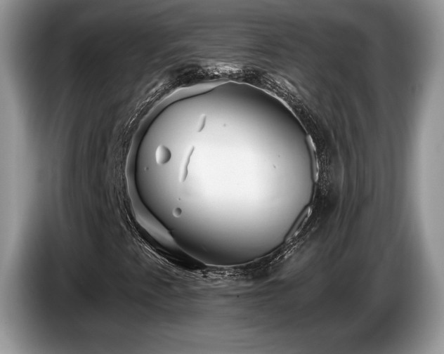 X0000087551345200704271201