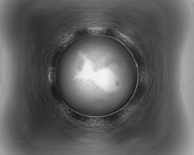 X0000087551346200704271201