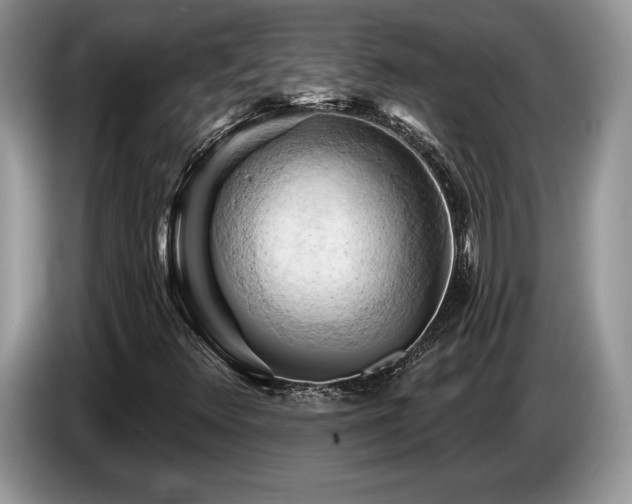 X0000087551348200704271201