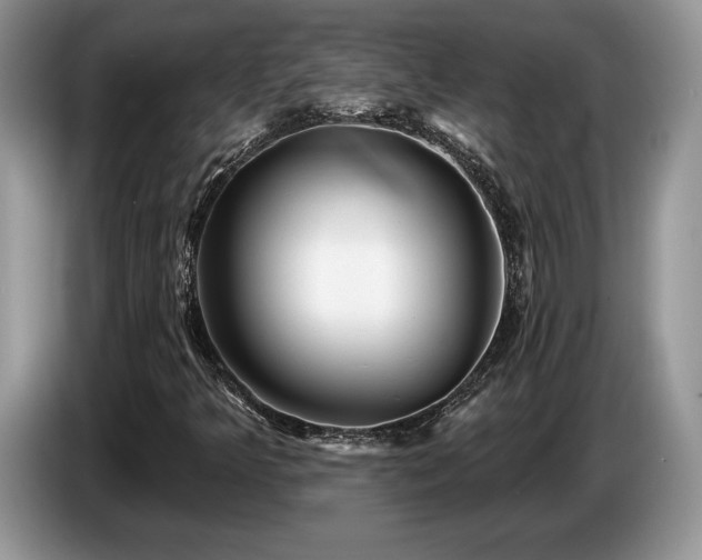 X0000087551349200704271201
