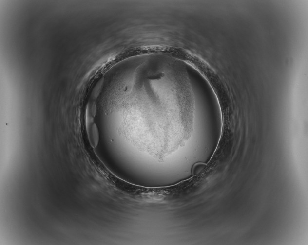 X0000087551351200704271201