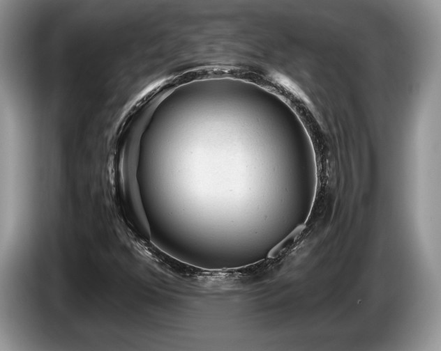 X0000087551352200704271201