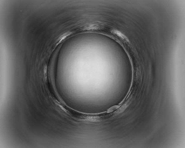 X0000087551353200704271201