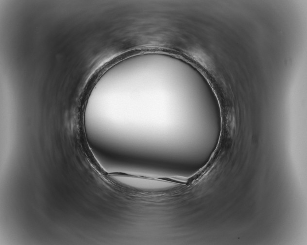 X0000087551356200704271201
