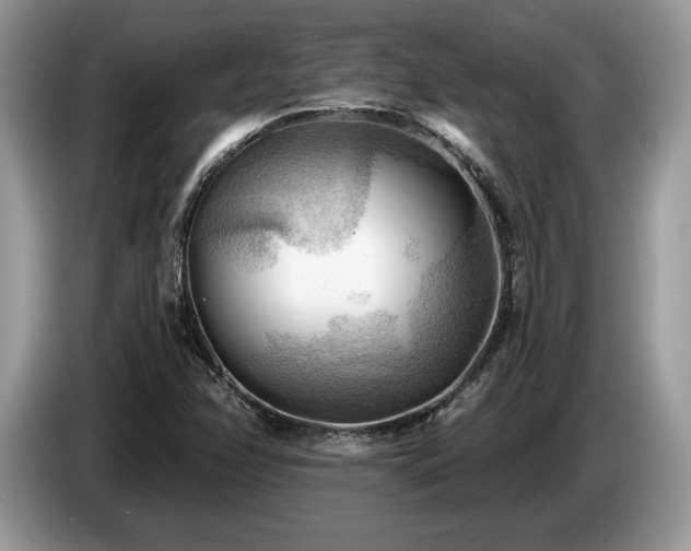 X0000087551358200704271201