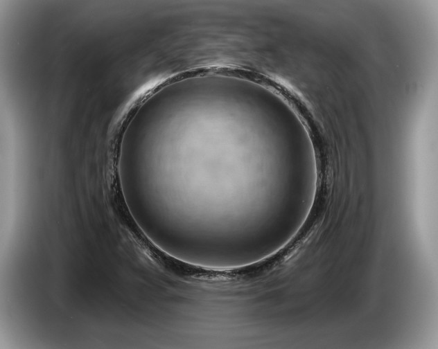 X0000087551359200704271201