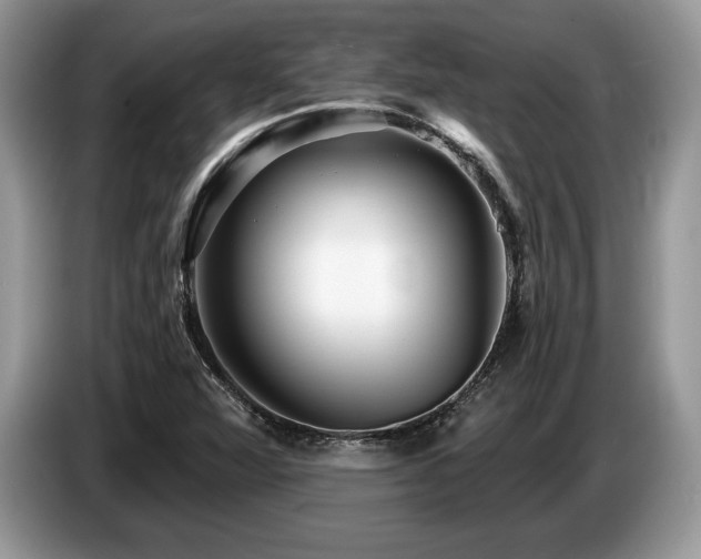 X0000087551360200704271201