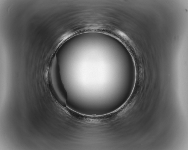 X0000087551361200704271201