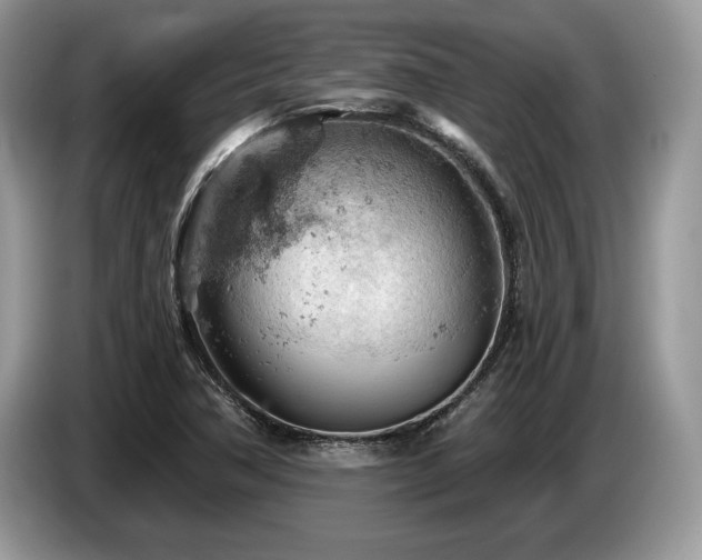 X0000087551362200704271201