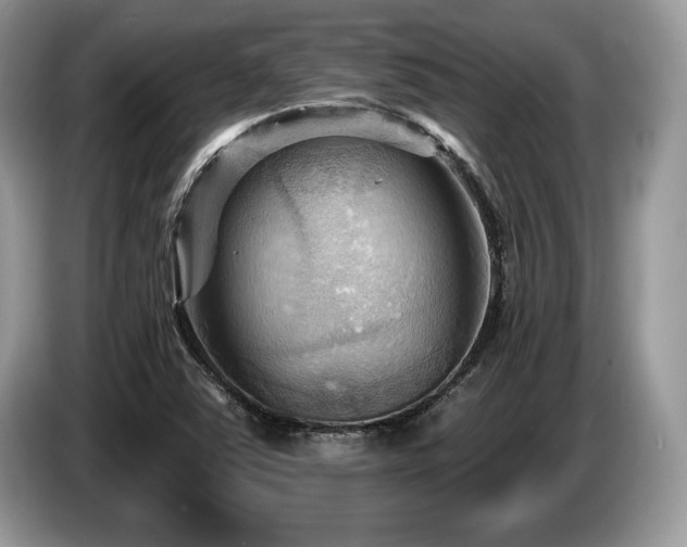 X0000087551363200704271201