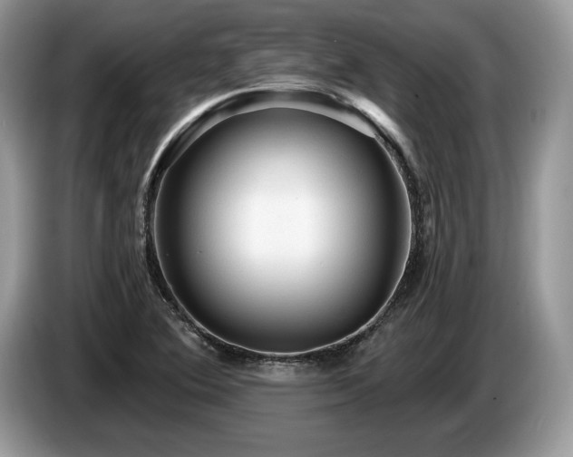 X0000087551364200704271201
