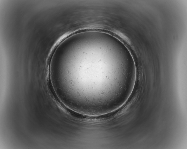 X0000087551366200704271201