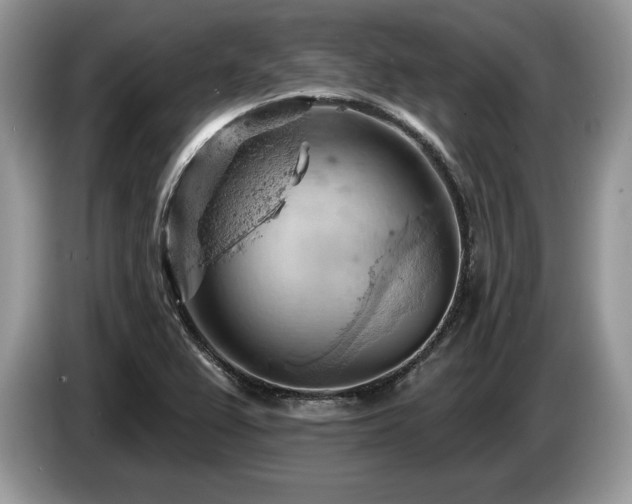 X0000087551367200704271201