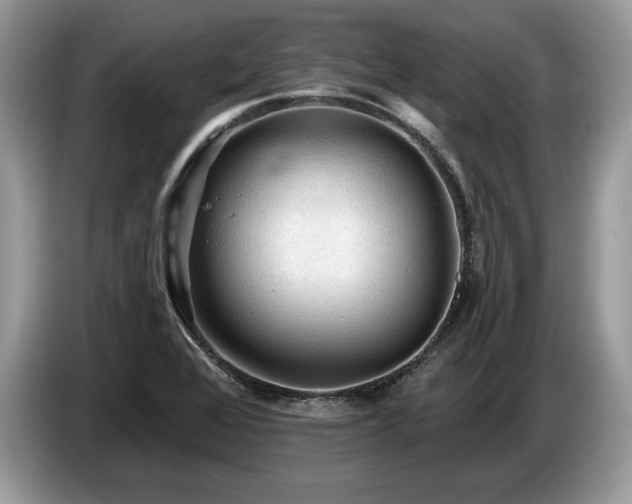 X0000087551368200704271201