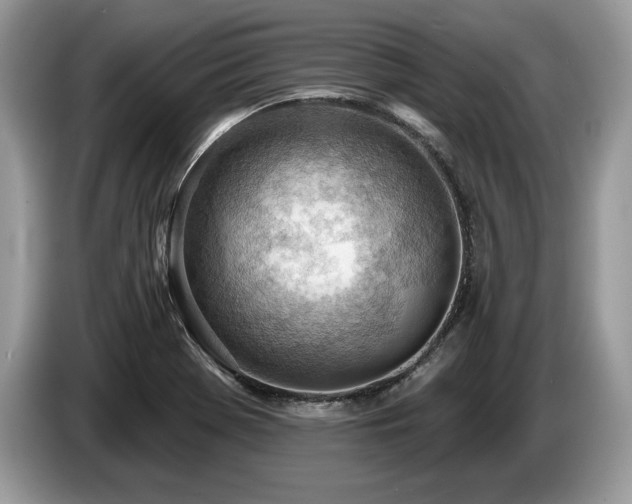 X0000087551369200704271201