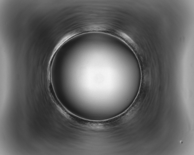 X0000087551370200704271201