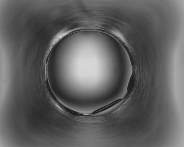 X0000087551371200704271201