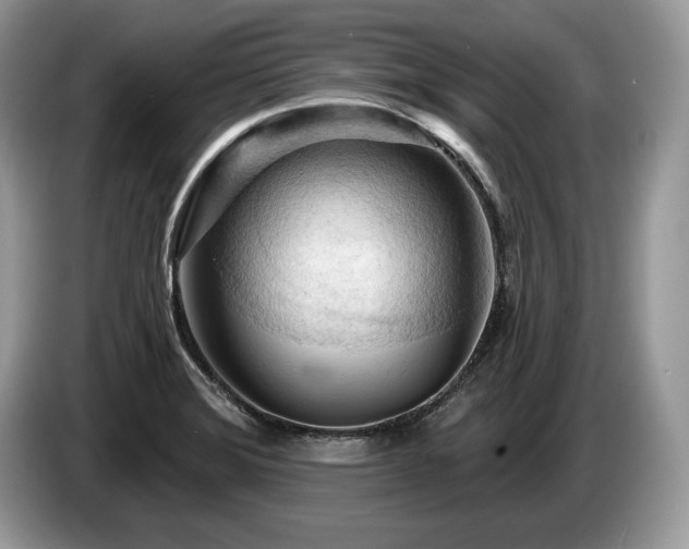 X0000087551372200704271201