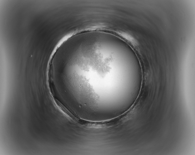 X0000087551374200704271201